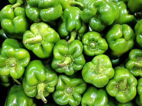 Green Pepper